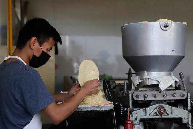Aumento en precio de tortilla disminuyó consumo de poblanos